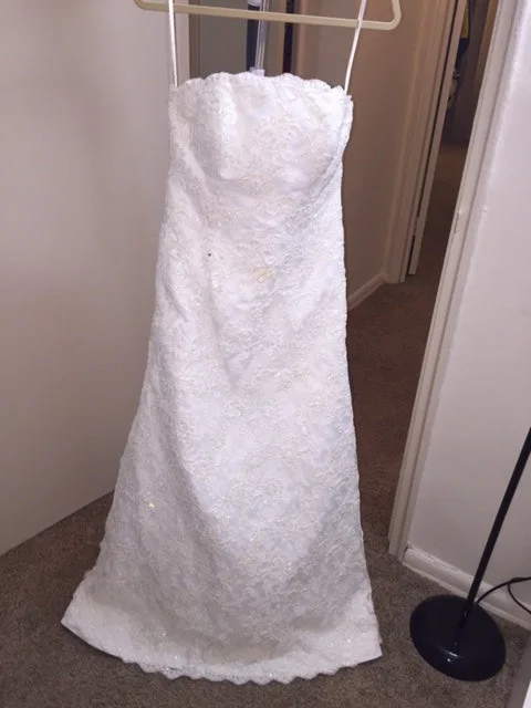 Augusta Jones Strapless Lace Fit to Flare (price negotiable)