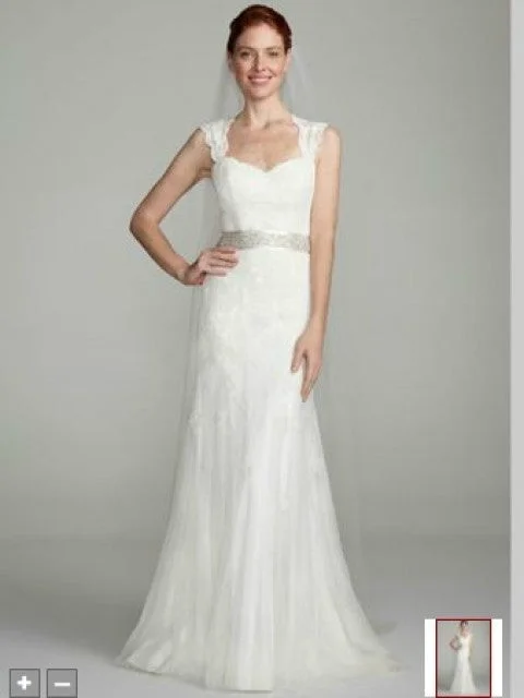 David's Bridal Cap Sleeve Lace Trumpet